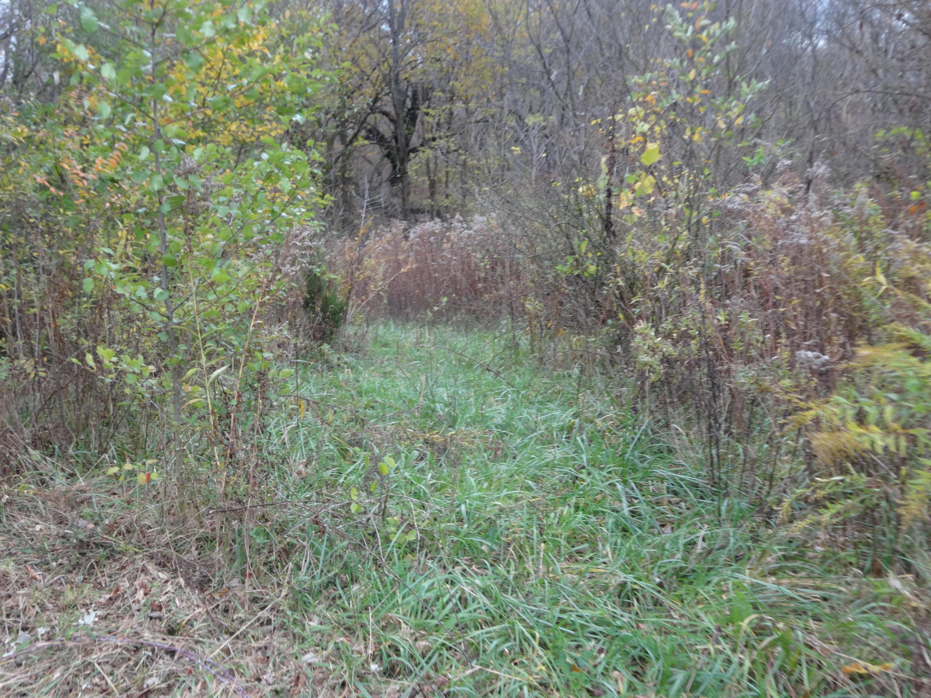 0 Co Road Cardington, OH 43315 - Photo 9 of 16