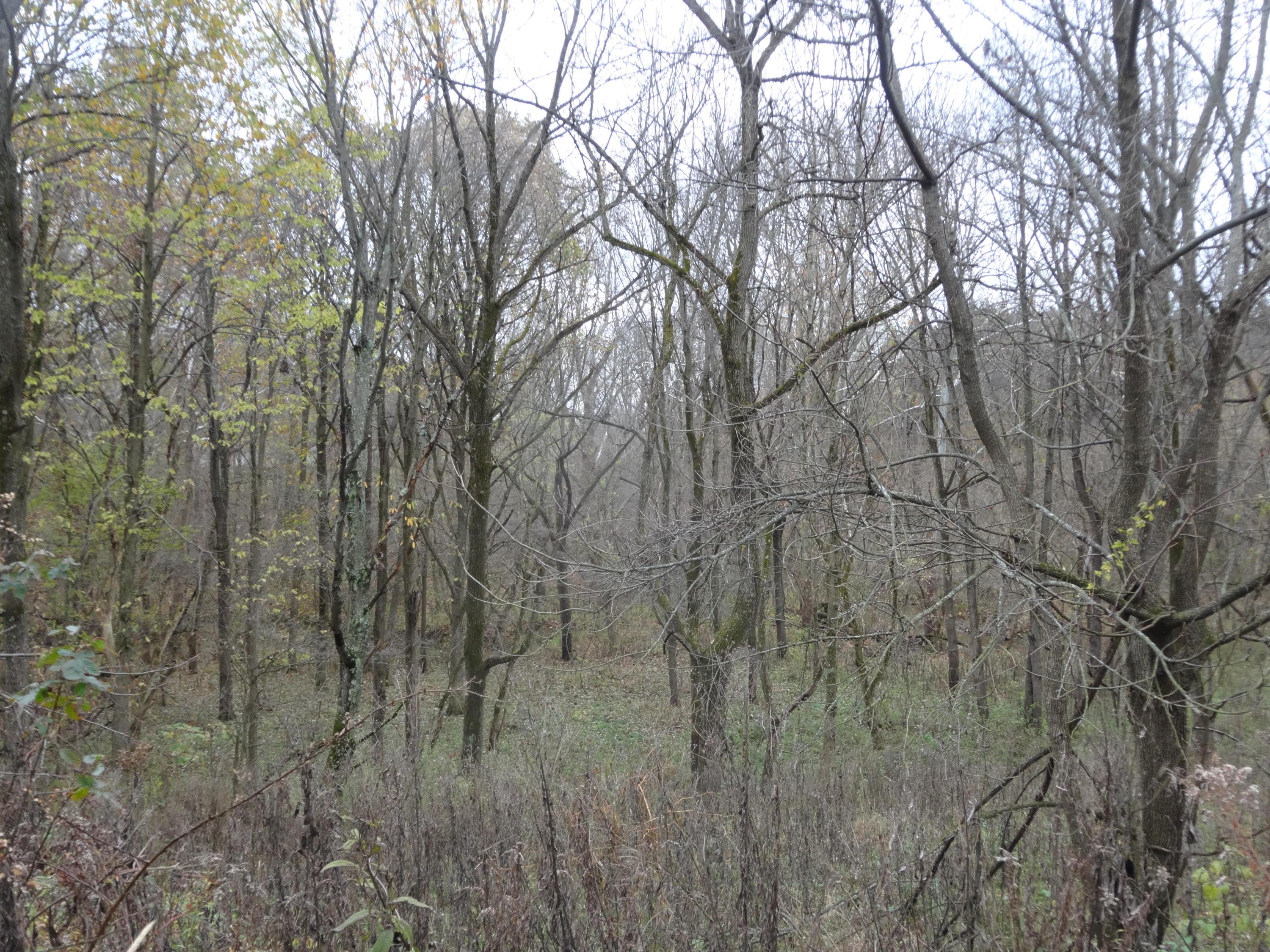 0 Co Road Cardington, OH 43315 - Photo 10 of 16