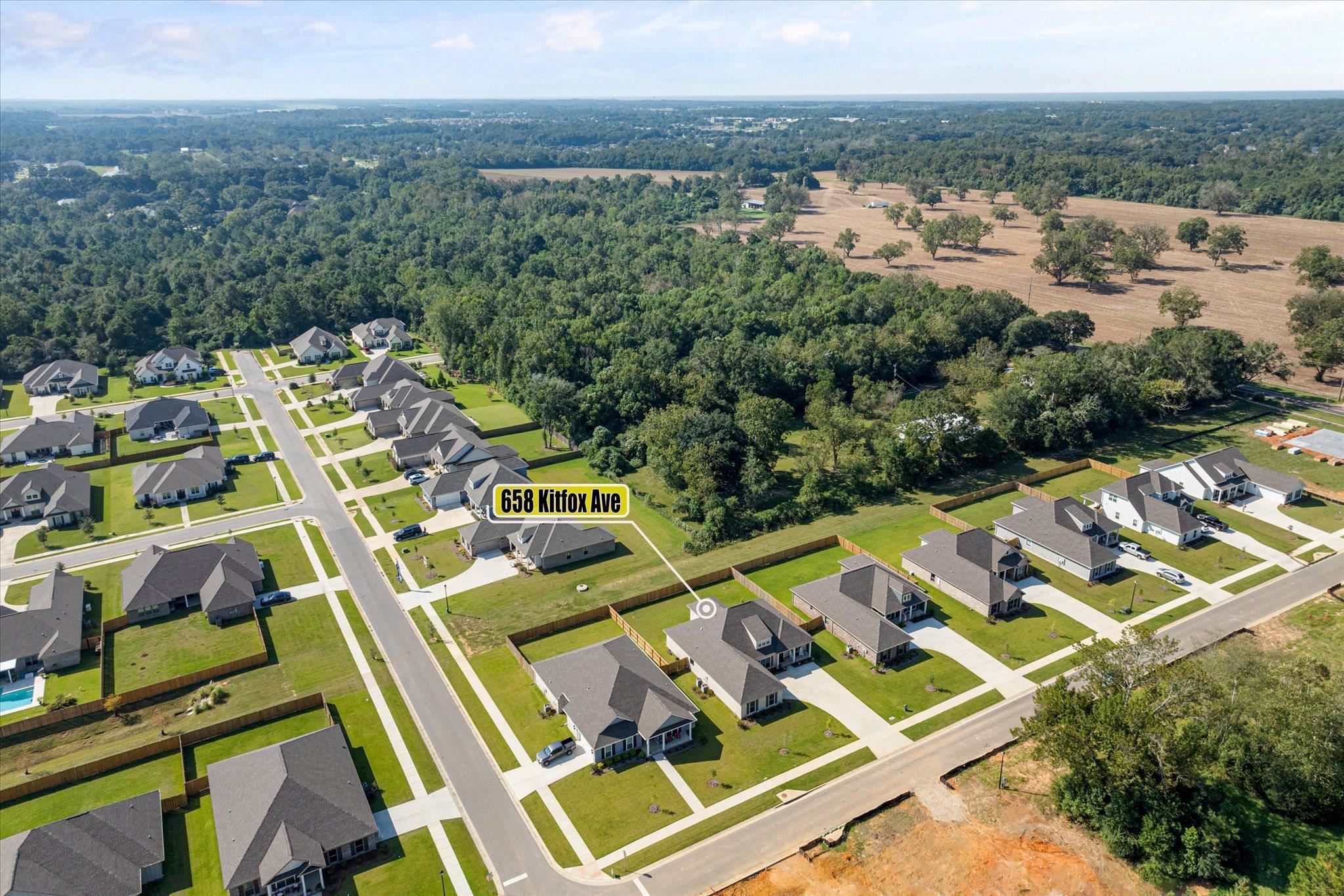 658 Kitfox Avenue Fairhope, AL 36532 - Photo 44 of 50 Aerial View