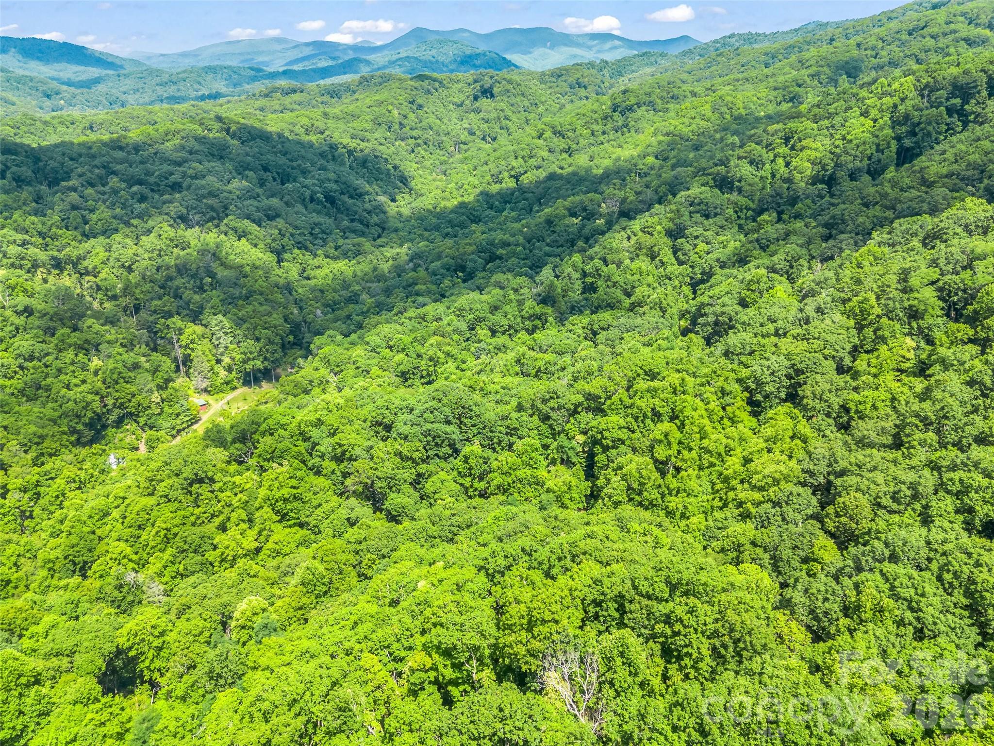 20 Kimberly Road Black Mountain, NC 28711 - Photo 42 of 46