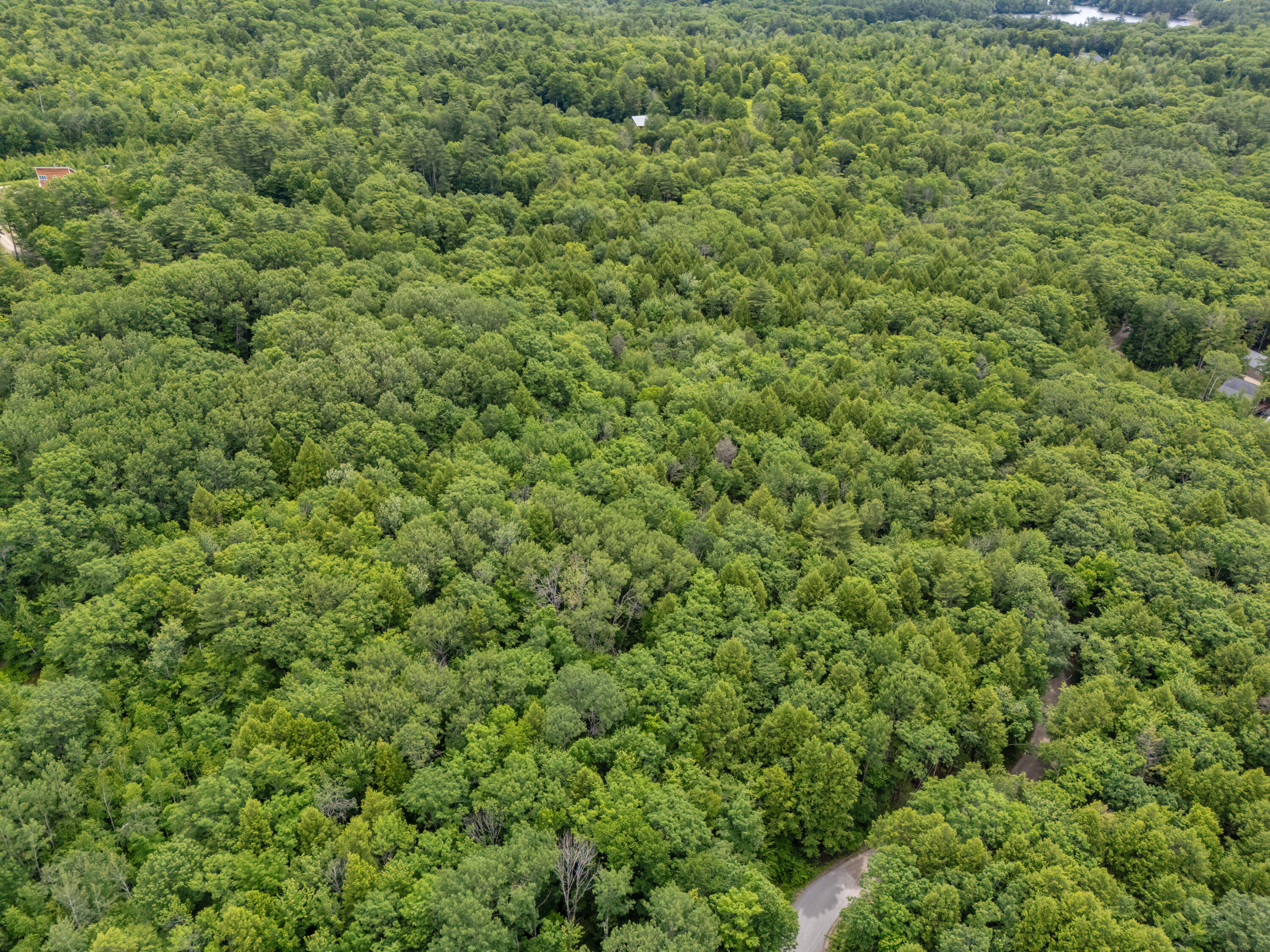 Lot 1-8 Watson Hill Road Limerick, ME 04048 - Photo 13 of 26 DJI_20260620105539_0256_D y