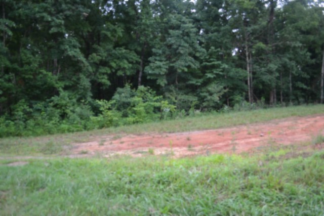 0 Pea Ridge Fire Tower Road Celina, TN 38551 - Photo 21 of 59