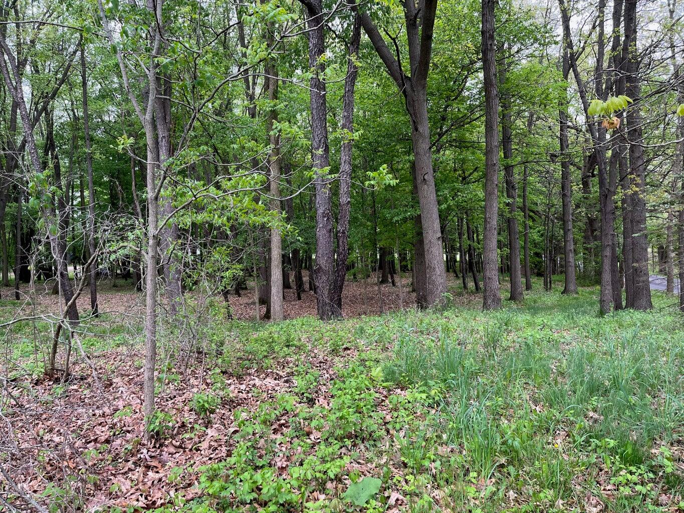 11217 South State Road Morrice, MI 48857 - Photo 2 of 6 2