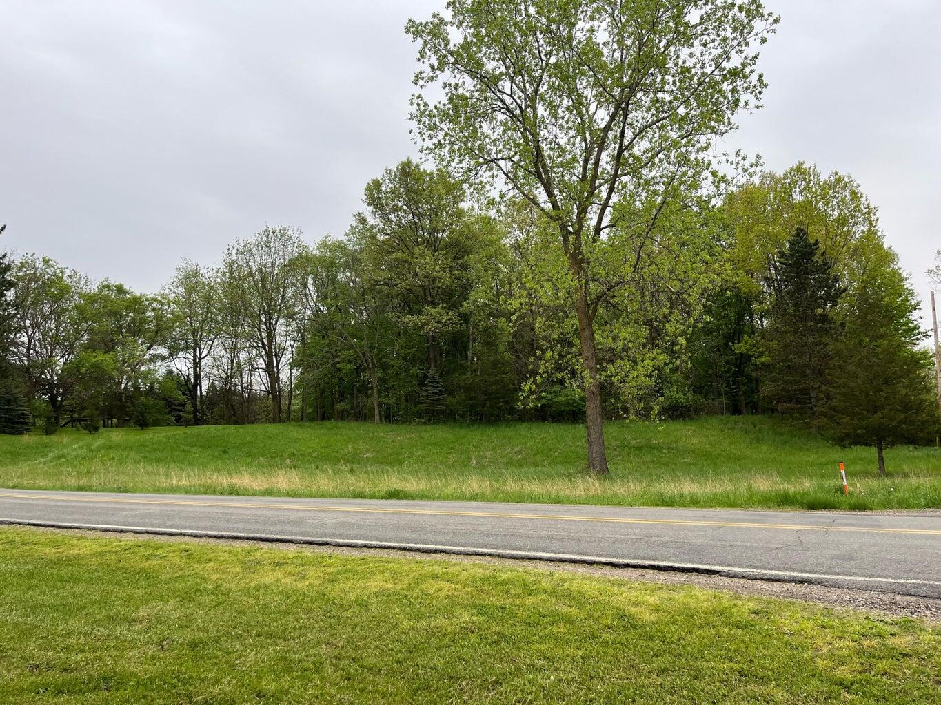 11217 South State Road Morrice, MI 48857 - Photo 3 of 6 3