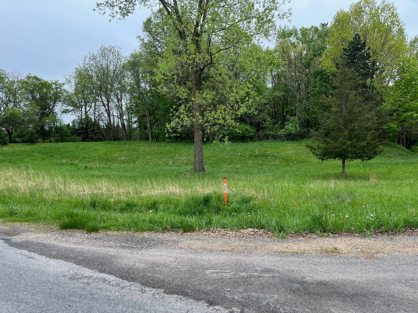 11217 South State Road Morrice, MI 48857 - Photo 4 of 6 4