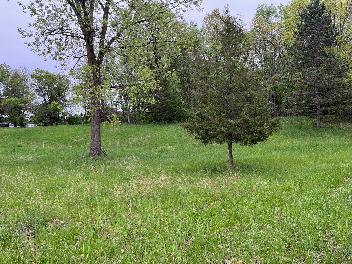 11217 South State Road Morrice, MI 48857 - Photo 5 of 6 5