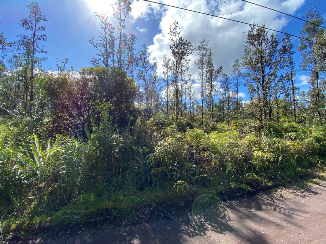 3126 Hopue Road Pahoa, HI 96778 - Photo 6 of 12 Gallery Image 6