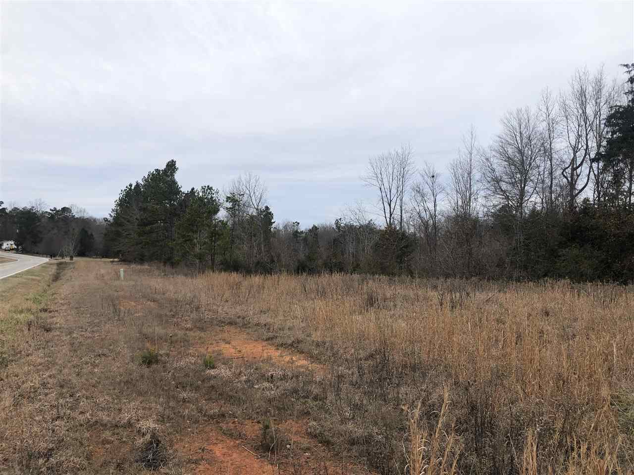 22-acres Lovers Lane Road Union, SC 29379 - Photo 2 of 5