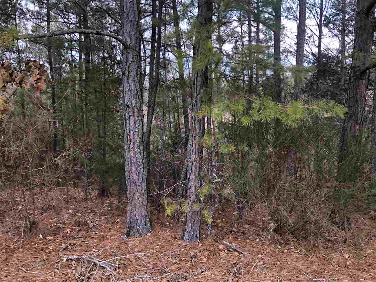 22-acres Lovers Lane Road Union, SC 29379 - Photo 3 of 5