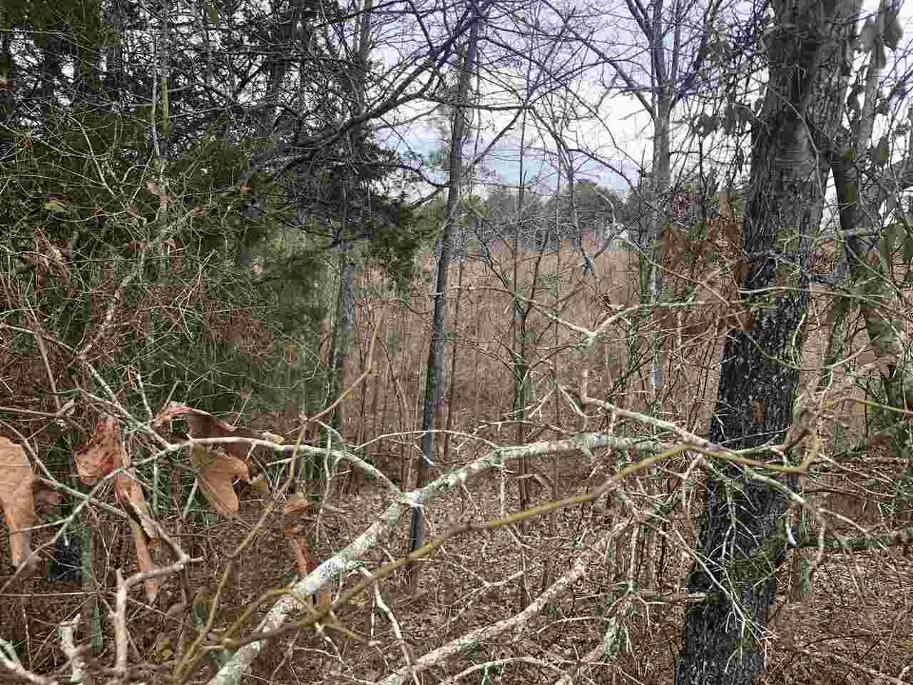 22-acres Lovers Lane Road Union, SC 29379 - Photo 4 of 5
