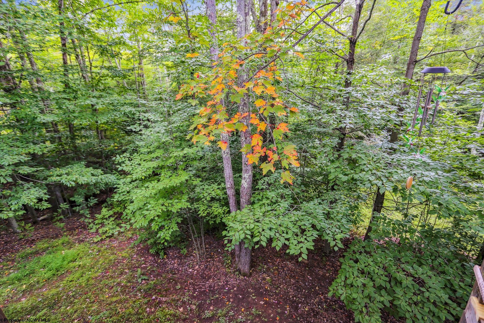 338 Mountainside Road Davis, WV 26260 - Photo 21 of 23 Gallery Image 21