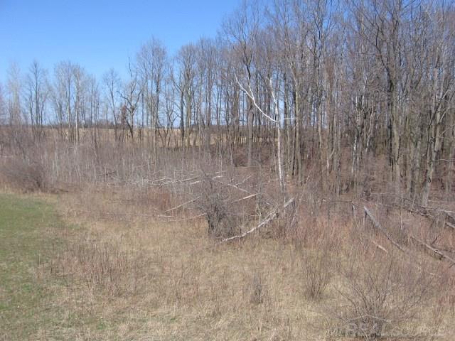 Vl Townsend Applegate, MI 48401 - Photo 21 of 31