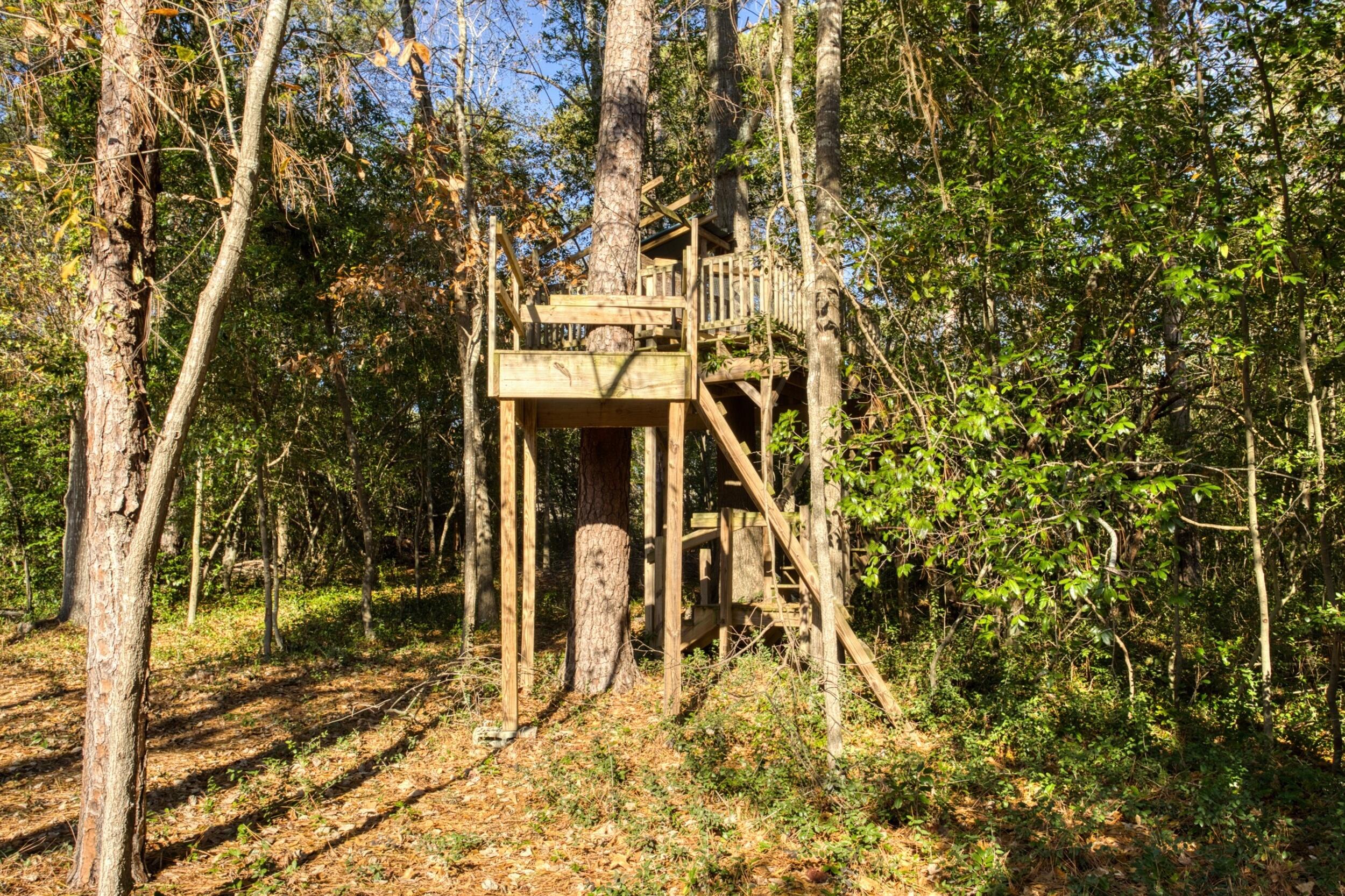 5 Huckleberry Court Aiken, SC 29803 - Photo 42 of 63 Tree house