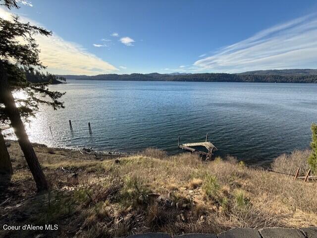 97 South Highway 97 Harrison, ID 83833 - Photo 2 of 9 Dubois Waterfront Dock