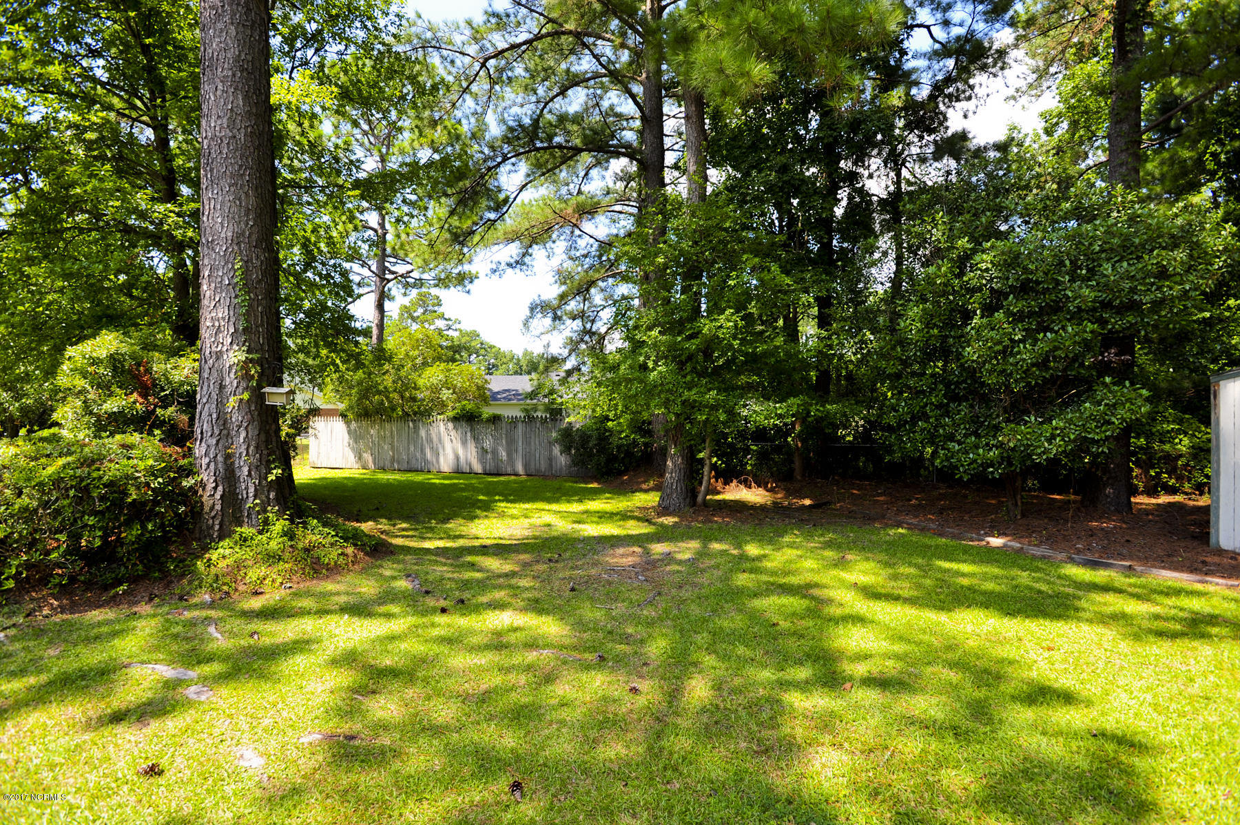 807 Shadowridge Road Jacksonville, NC 28546 - Photo 34 of 34 024 Backyard