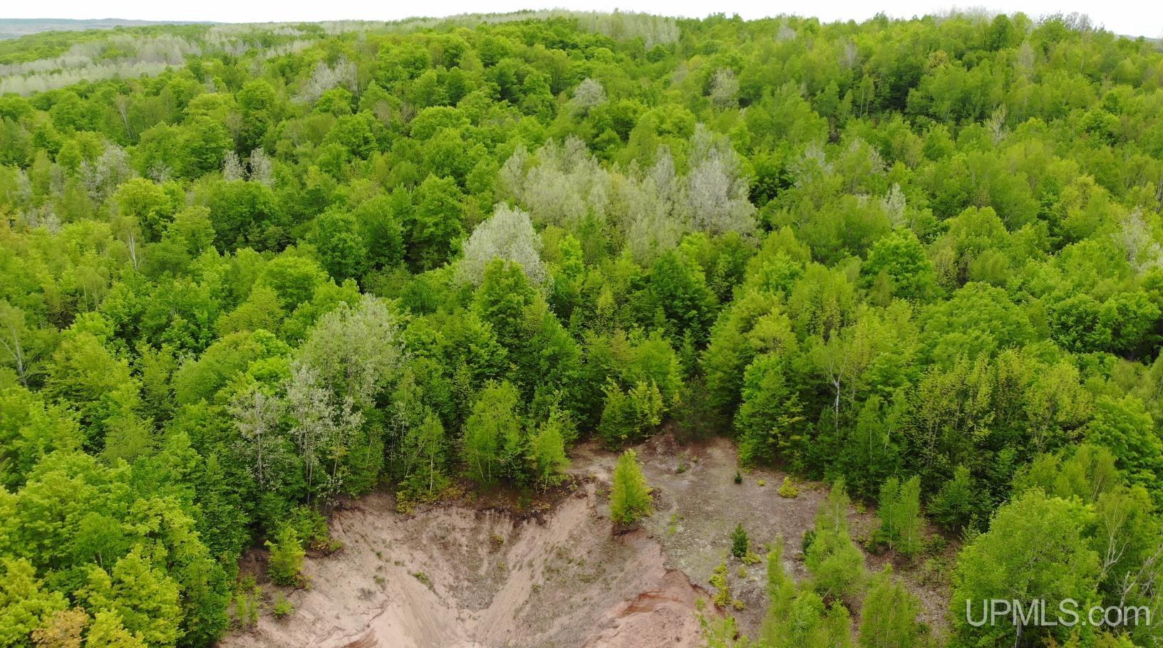 Tbd 1 Off M28 Road Trout Creek, MI 49967 - Photo 4 of 24