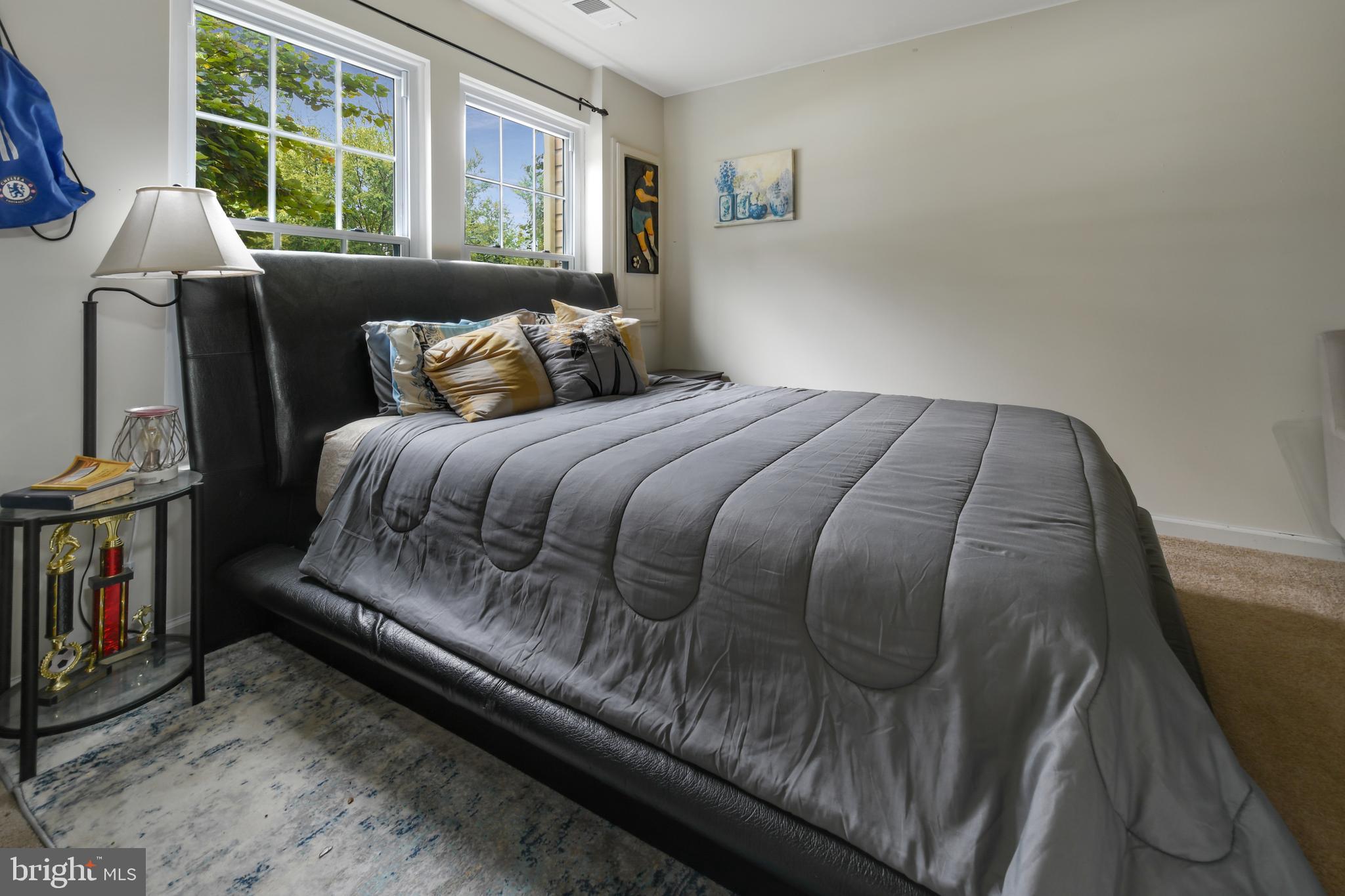 Lower level bedroom--perfect for in-laws!
