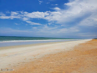 3560 Ocean Shore Boulevard Ormond Beach, FL 32176 - Photo 6 of 106 Our Private Beach