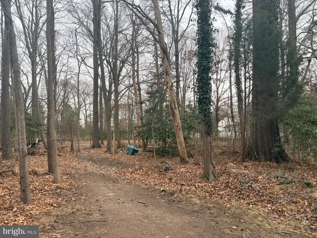 a backyard of a house with lots of trees