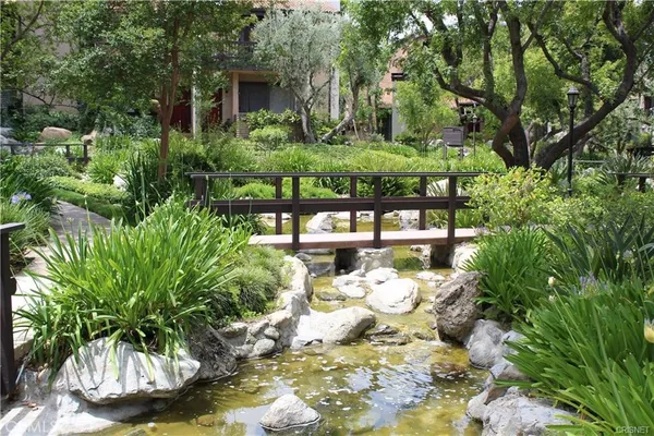 a view of a garden with plants