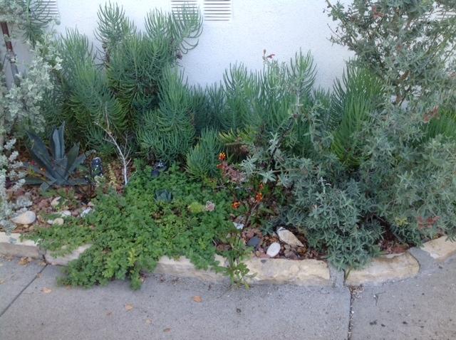 2889 Foothill Road Santa Barbara, CA 93105 - Photo 20 of 23 Planter