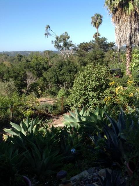 2889 Foothill Road Santa Barbara, CA 93105 - Photo 22 of 23 View_Mesa_Islands