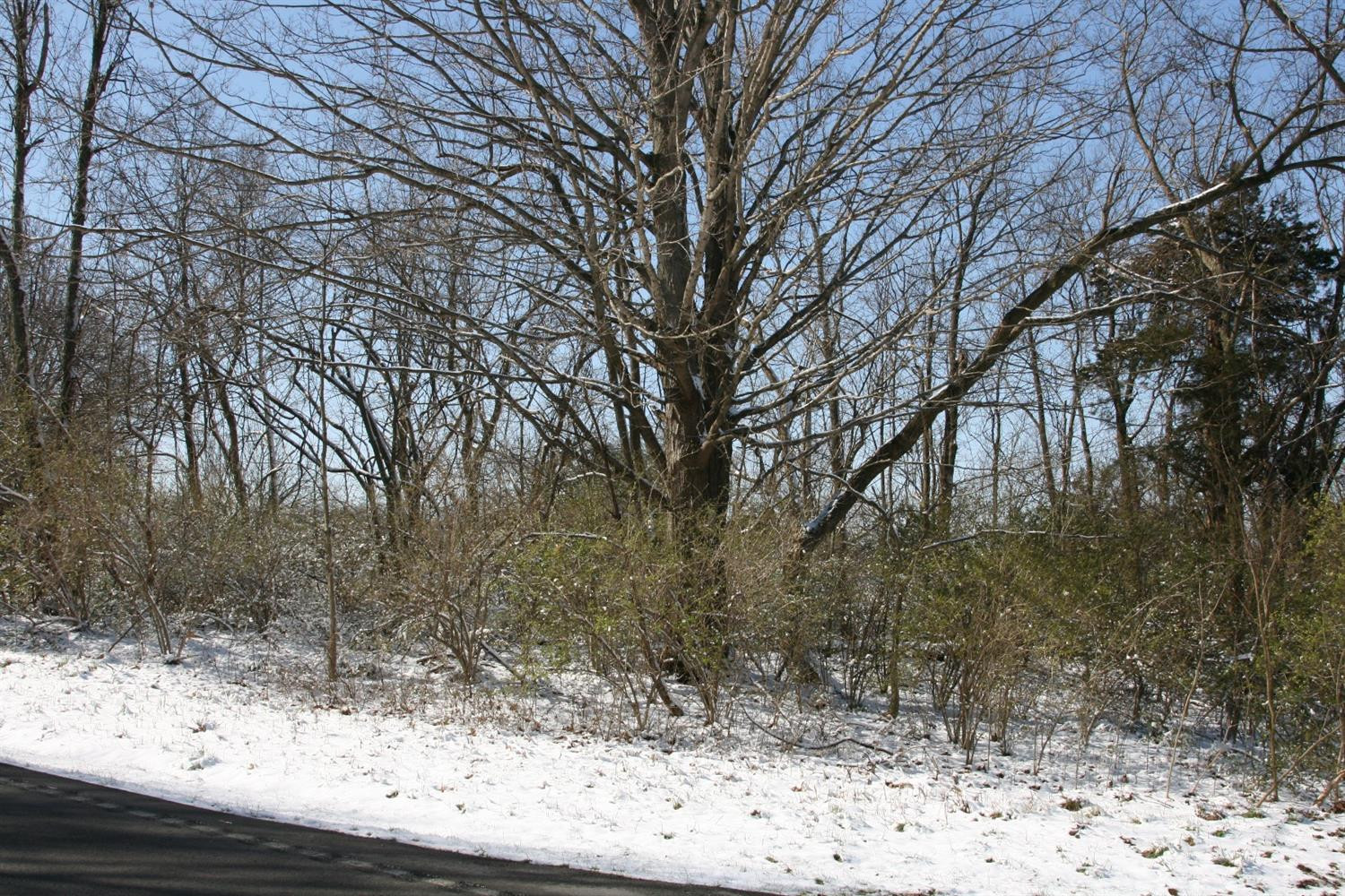 549 Kennedy Bridge Road Lancaster, KY 40444 - Photo 6 of 10 Photo 6