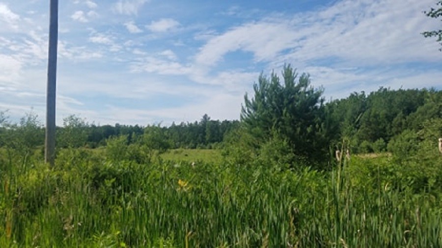 0 Sand Road Pinconning, MI 48650 - Photo 2 of 10