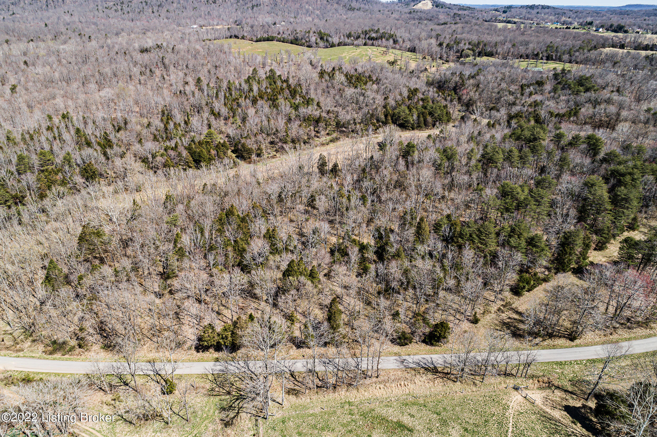 1-2 Patton Road Boston, KY 40107 - Photo 6 of 13 PattonRd004