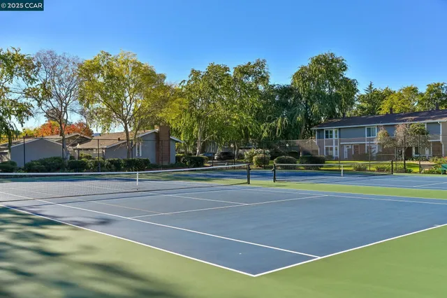 a view of a tennis ground with large trees