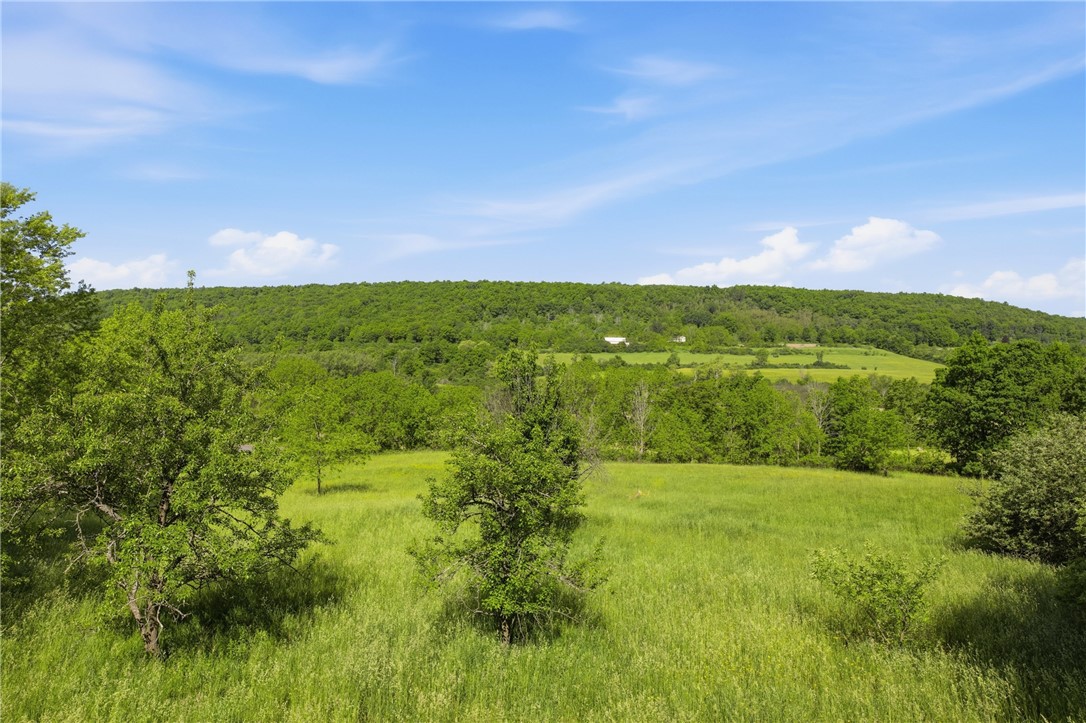 4140 Decamp Road Tyrone, NY 14837 - Photo 6 of 50