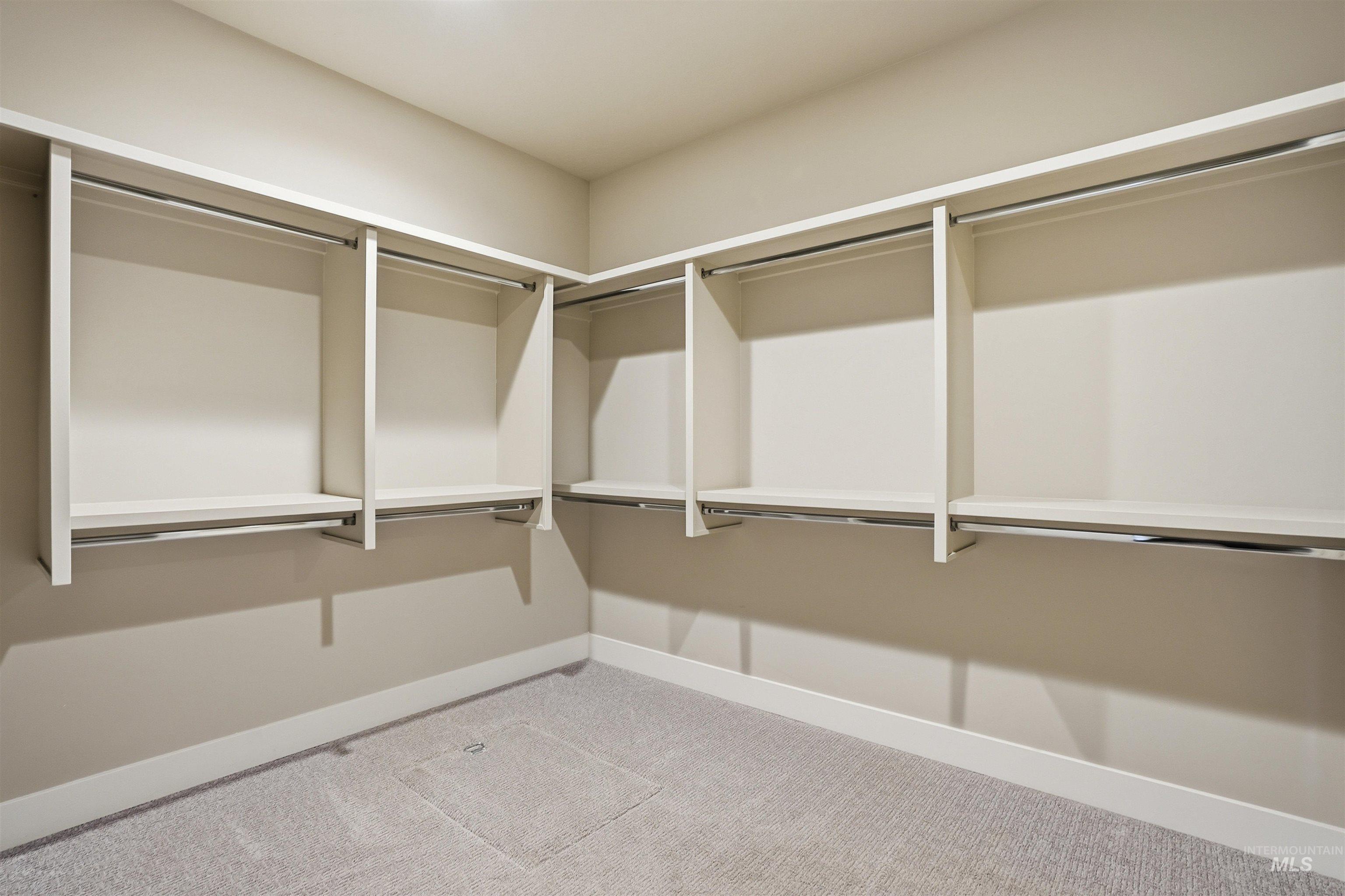 8087 Tandy Cove Street Middleton, ID 83644 - Photo 25 of 50 Walk in closet featuring light carpet