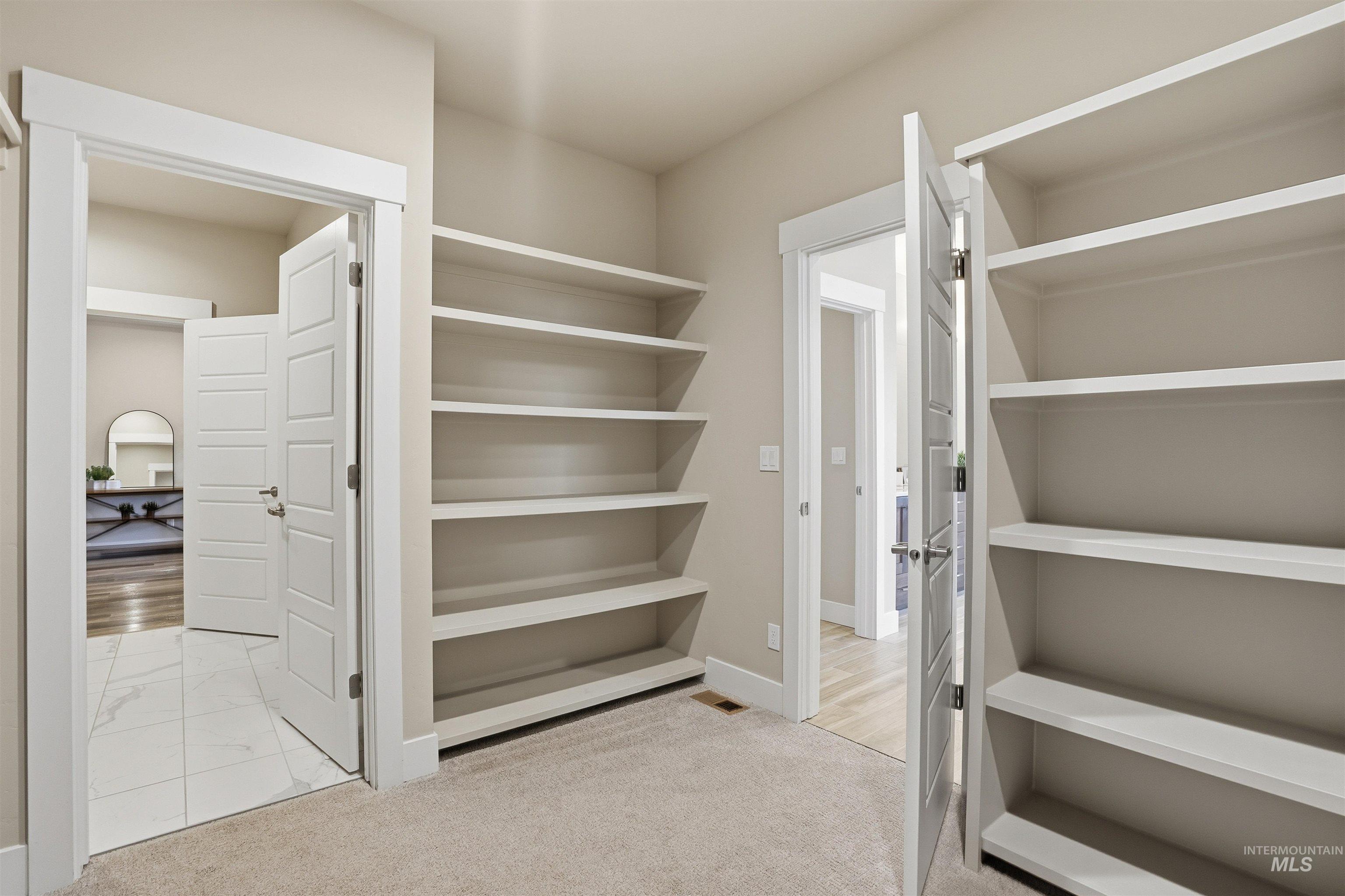8087 Tandy Cove Street Middleton, ID 83644 - Photo 27 of 50 Walk in closet with light carpet