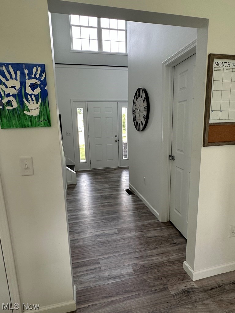 441 Rabbit Run Lane Wellington, OH 44090 - Photo 8 of 35 Laminate floored foyer featuring a high ceiling