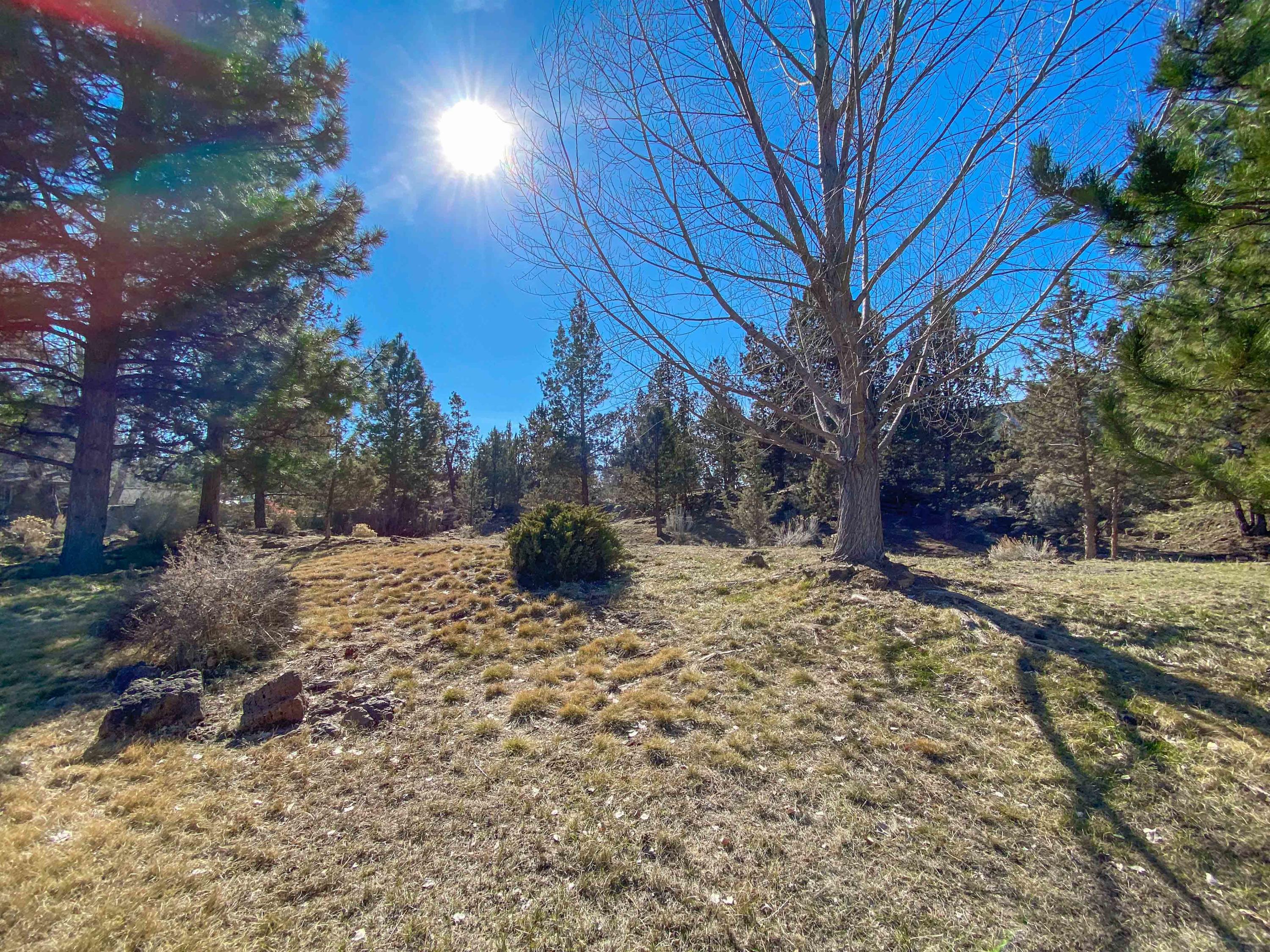 64943 Hunnell Road Bend, OR 97703 - Photo 61 of 70 IMG_9596