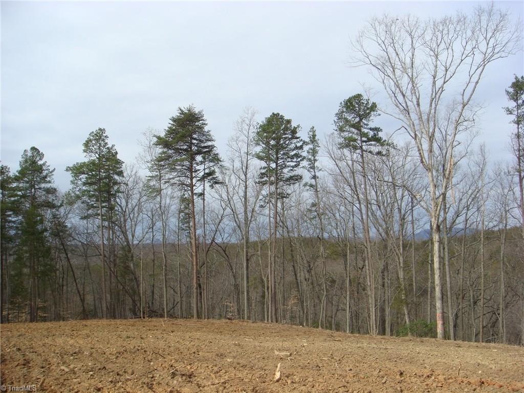 11.82-acres South Friendship Road Germanton, NC 27019 - Photo 1 of 20 Gallery Image 1