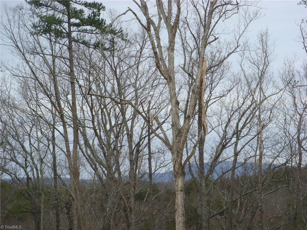 11.82-acres South Friendship Road Germanton, NC 27019 - Photo 2 of 20 Gallery Image 2