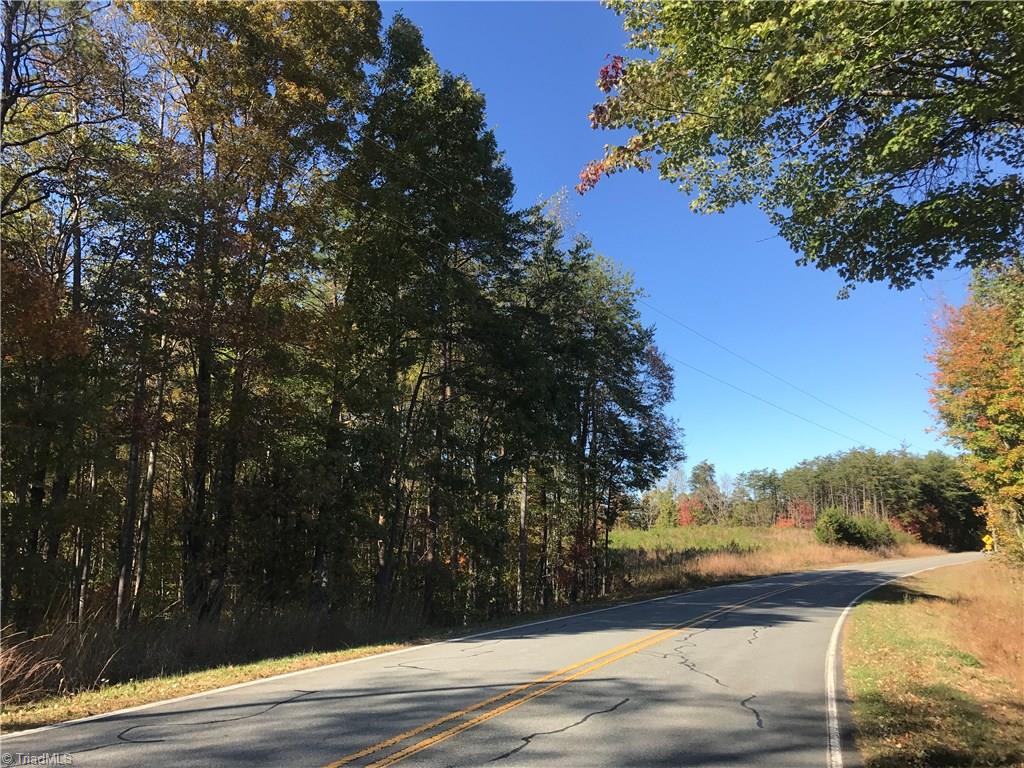 11.82-acres South Friendship Road Germanton, NC 27019 - Photo 15 of 20 Gallery Image 15