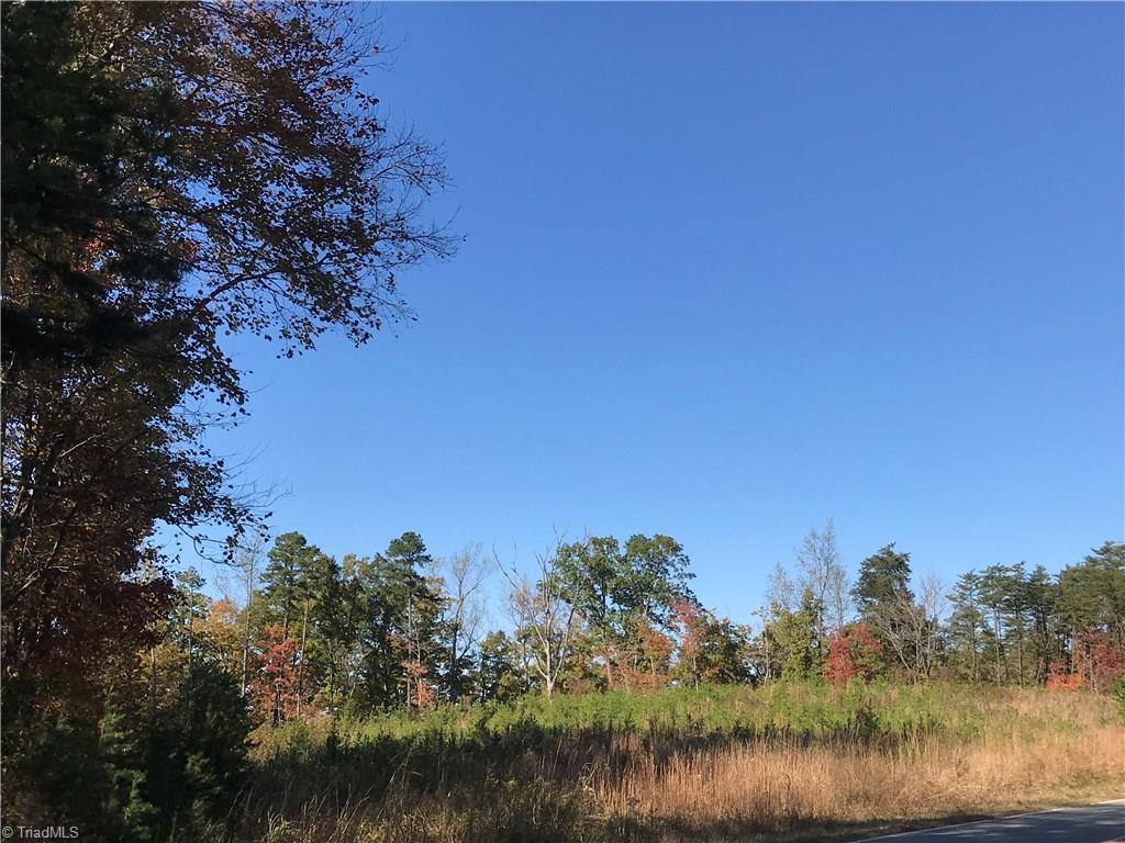 11.82-acres South Friendship Road Germanton, NC 27019 - Photo 16 of 20 Gallery Image 16