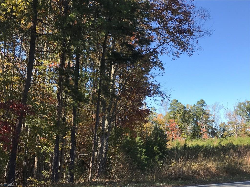 11.82-acres South Friendship Road Germanton, NC 27019 - Photo 17 of 20 Gallery Image 17