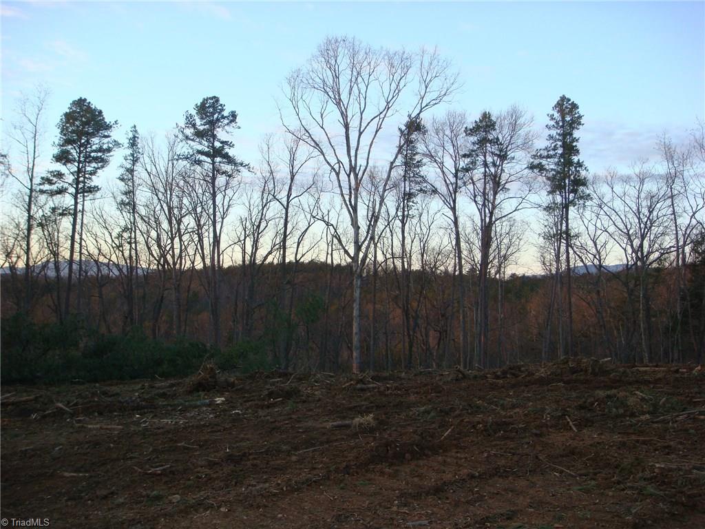 11.82-acres South Friendship Road Germanton, NC 27019 - Photo 19 of 20 Gallery Image 19