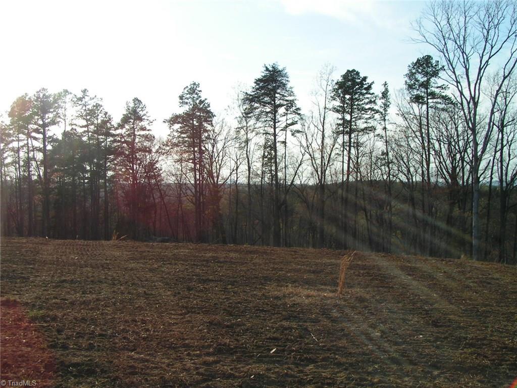 11.82-acres South Friendship Road Germanton, NC 27019 - Photo 20 of 20 Gallery Image 20