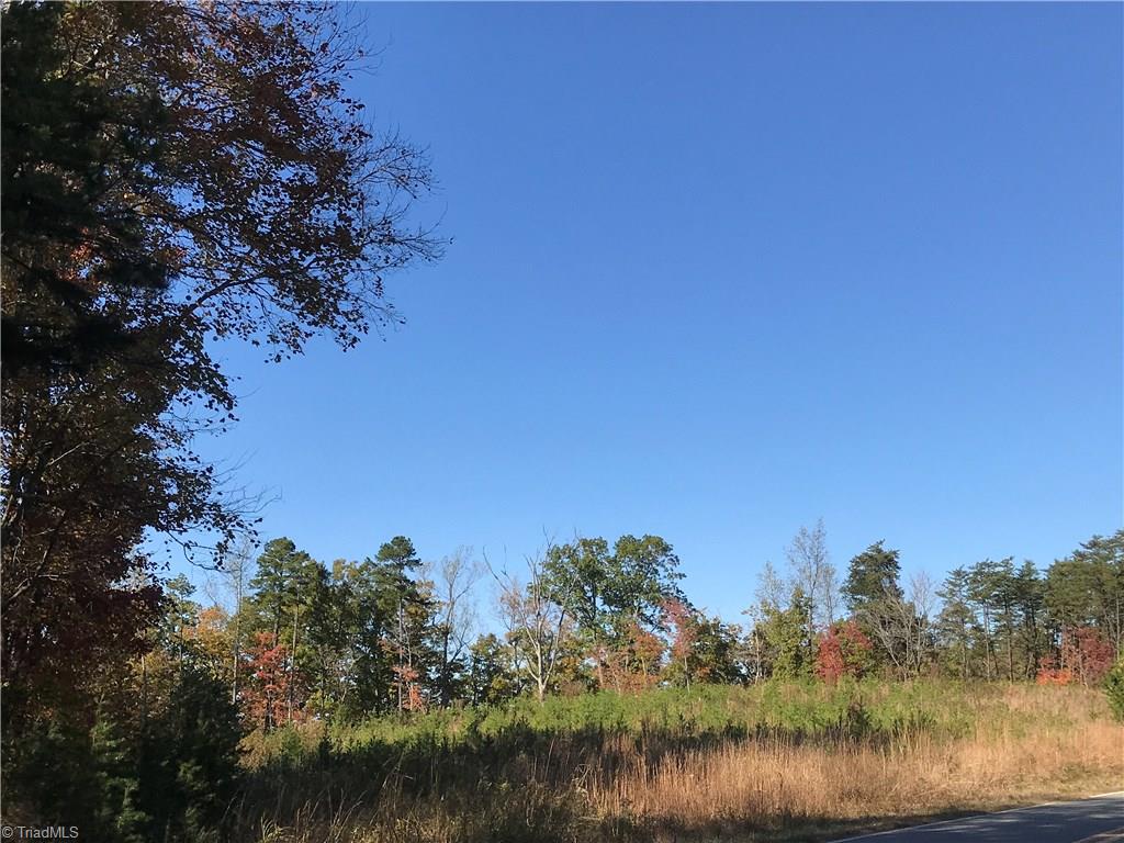 11.82-acres South Friendship Road Germanton, NC 27019 - Photo 4 of 20 Gallery Image 4