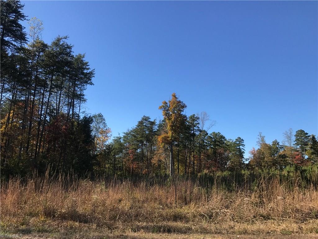 11.82-acres South Friendship Road Germanton, NC 27019 - Photo 5 of 20 Gallery Image 5