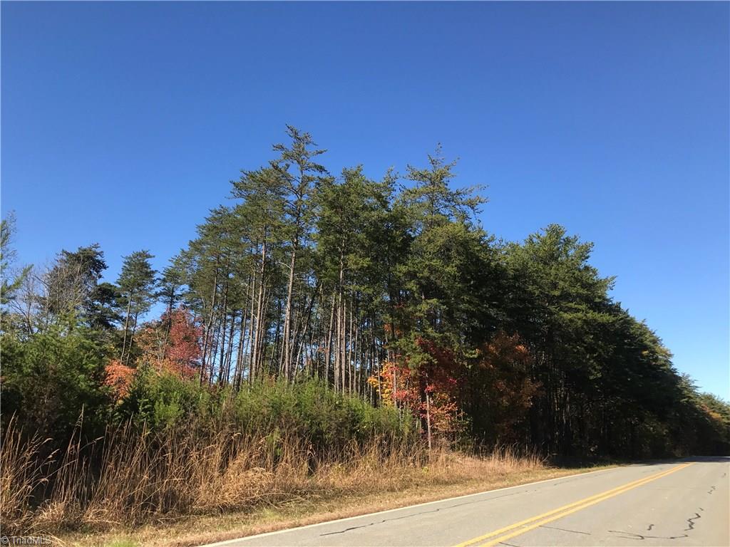 11.82-acres South Friendship Road Germanton, NC 27019 - Photo 7 of 20 Gallery Image 7