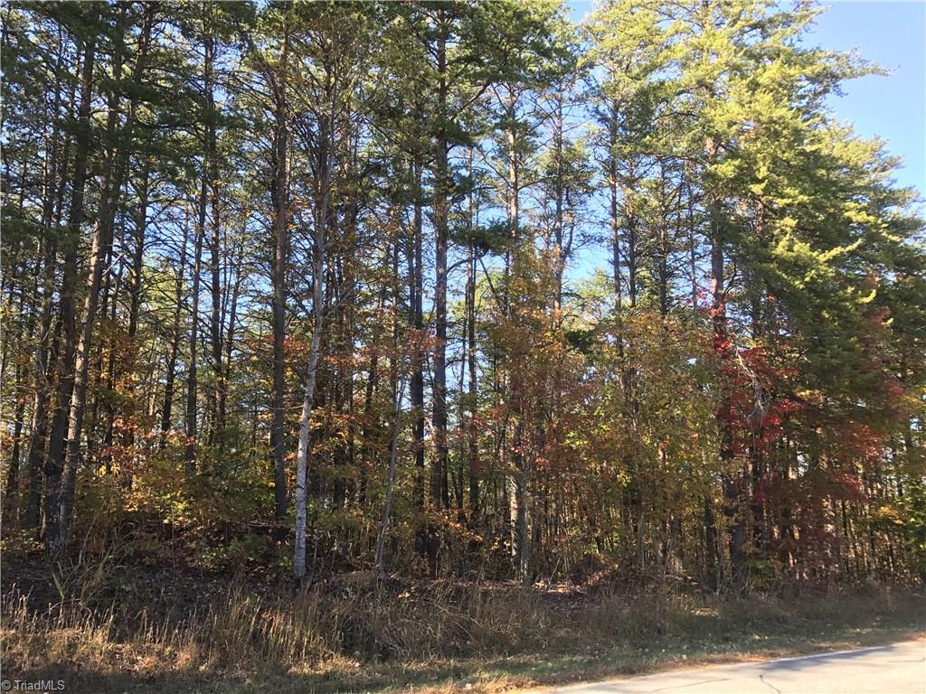 11.82-acres South Friendship Road Germanton, NC 27019 - Photo 10 of 20 Gallery Image 10