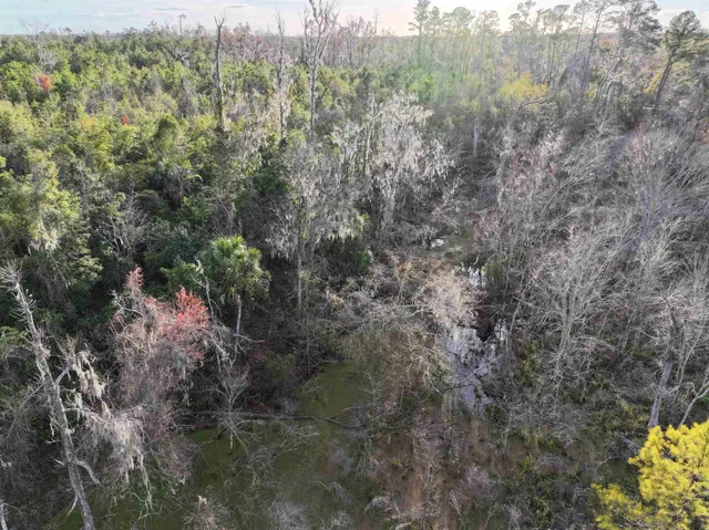 $70,000 | Tbd Northwest Tbd Nw 141st Creek, Jennings, FL 32053