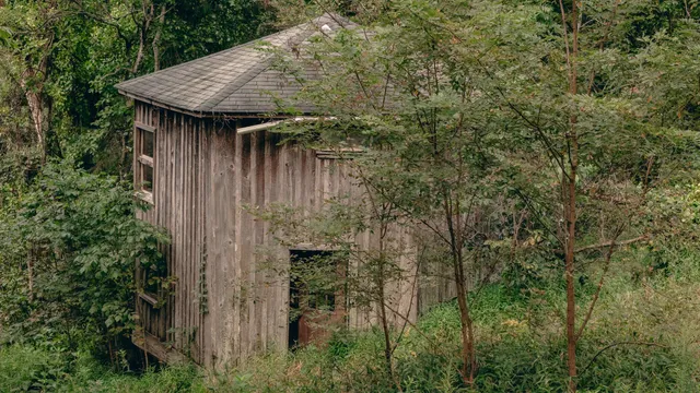 a house with a tree in front of it