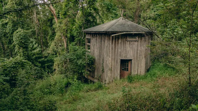 a view of a backyard of the house