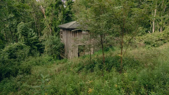 a view of a lake with a yard